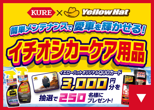 イチオシカーケア商品
