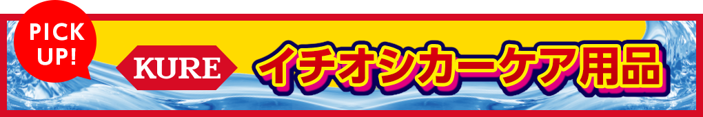 イチオシカーケア用品